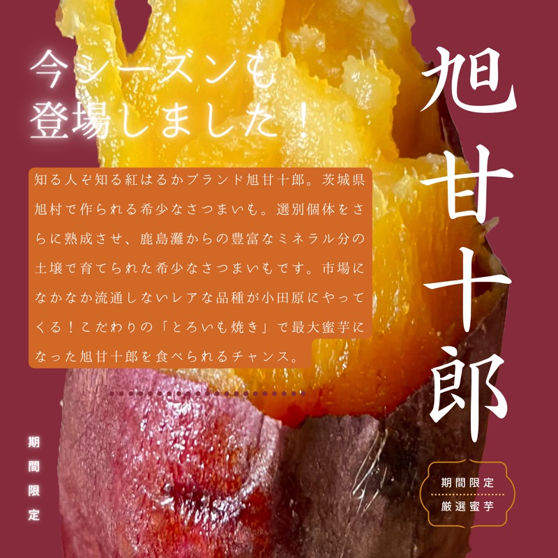 旭甘十郎 - 茨城県旭村産の希少品種